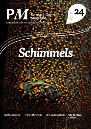 Nummer 24: Schimmels Cover PM 24